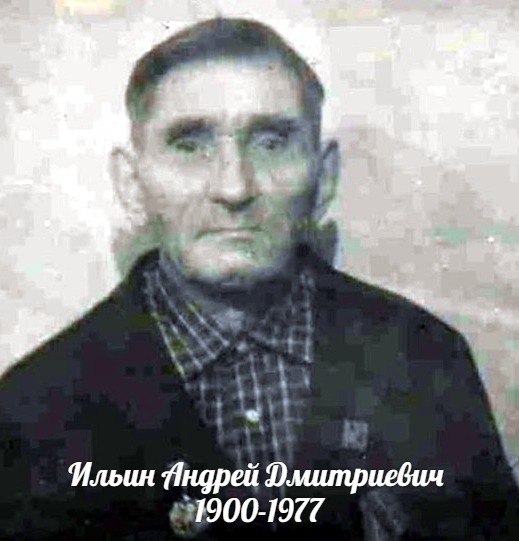 Ильин Андрей Дмитриевич
