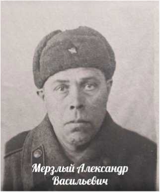 Мерзлый Александр Васильевич