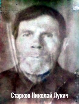 Старков Николай Лукич