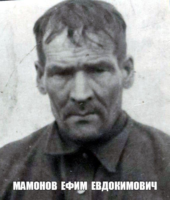Мамонов  Ефим  Евдокимович