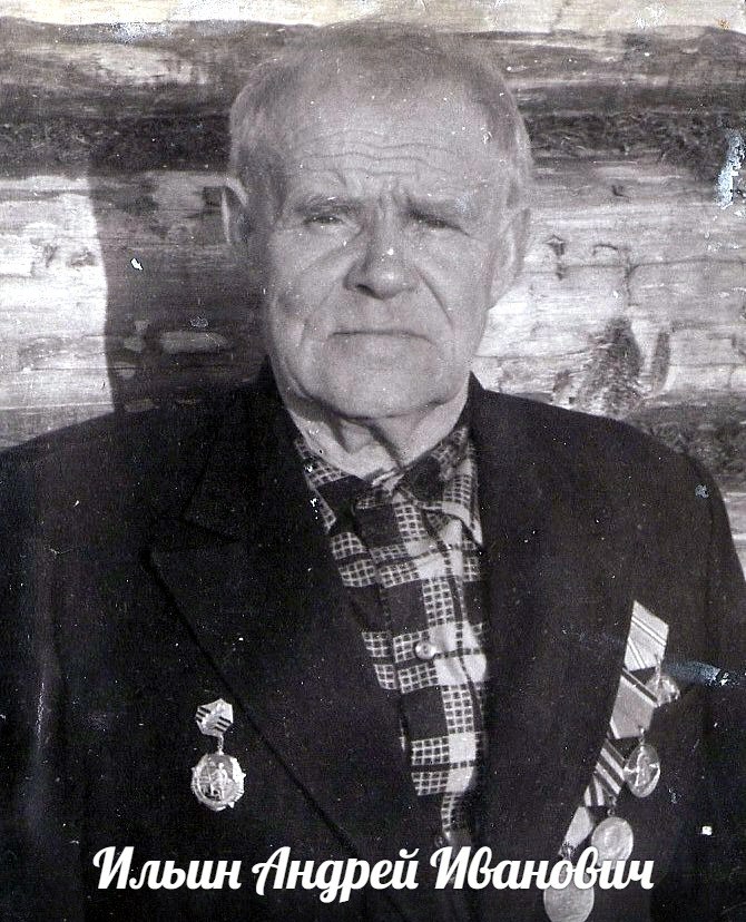 Ильин Андрей Иванович
