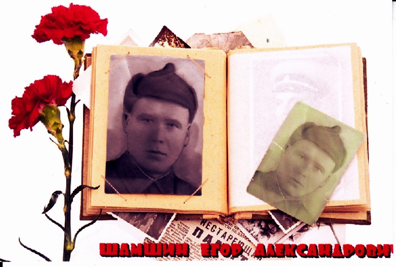 Шамшин Егор Александрович